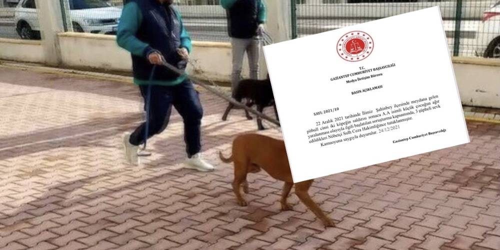 Gaziantep’te pitbull köpeklerinin saldırması olayı sonrasında 3 kişi tutuklandı